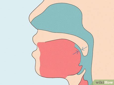 How to Pronounce R's: 9 Steps (with Pictures) .